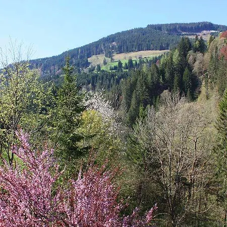 Ferienhaus Huettenzauber Hochkoenig *