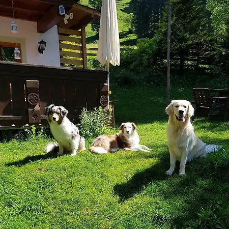 Ferienhaus Huettenzauber Hochkoenig *
